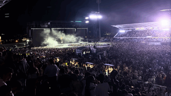 newsletter zpos (45)